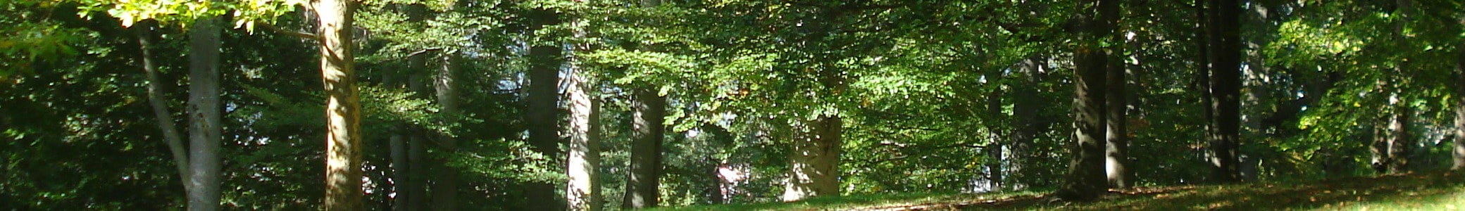 Akita数理解析研究所